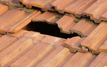 roof repair Brandiston, Norfolk
